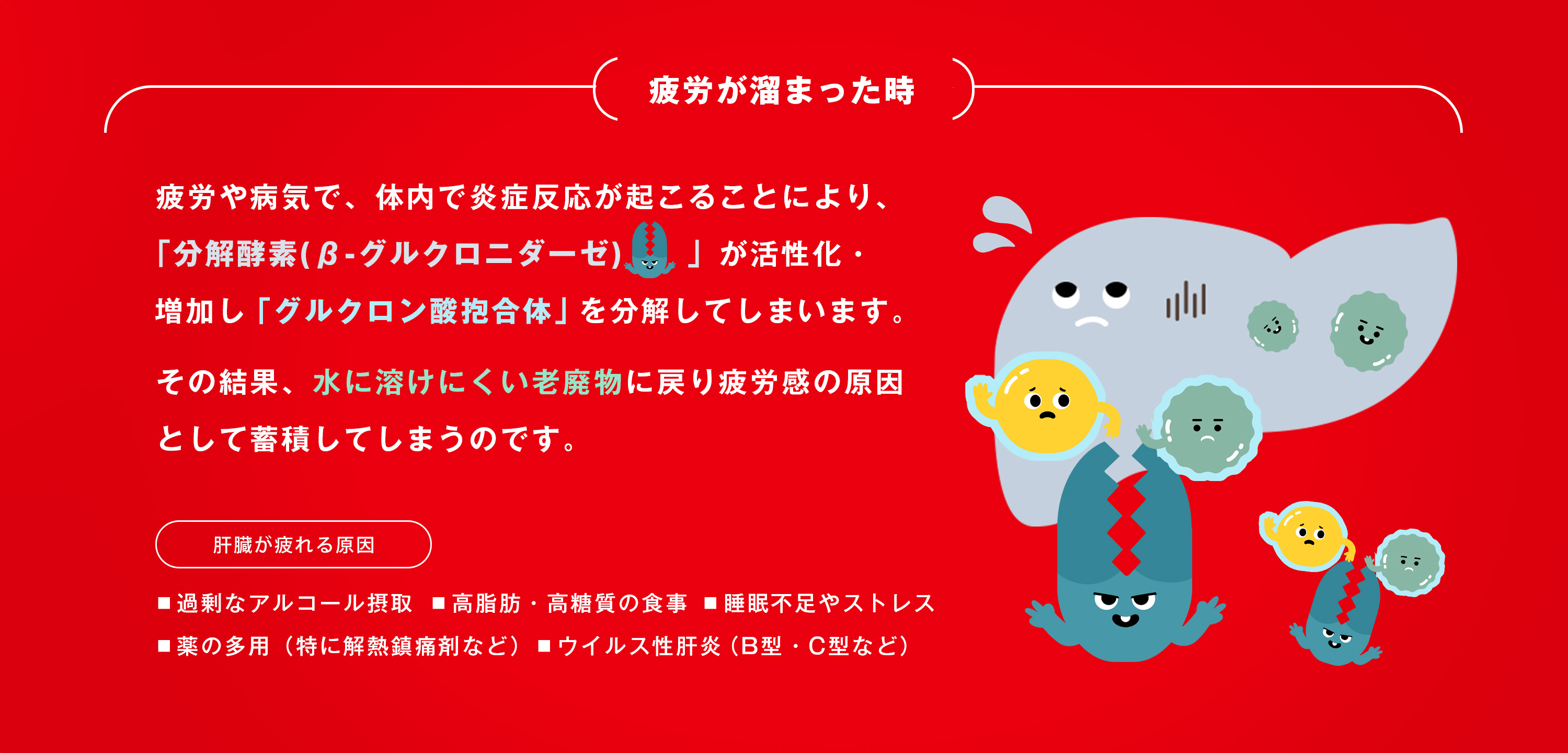 肝臓の解毒を助け、疲労物質の排出をサポート
それが、グロモントの有効成分「グルクロノラクトン」です。