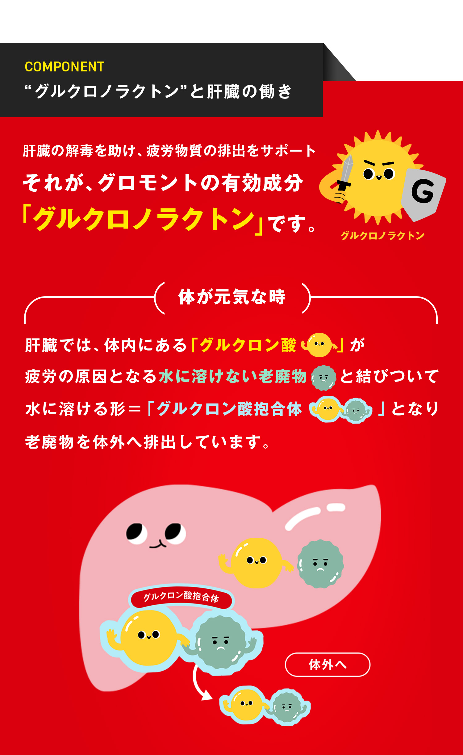 肝臓の解毒を助け、疲労物質の排出をサポート
それが、グロモントの有効成分「グルクロノラクトン」です。