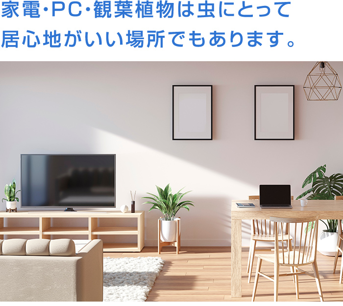 家電・PC・観葉植物は虫にとって居心地がいい場所でもあります