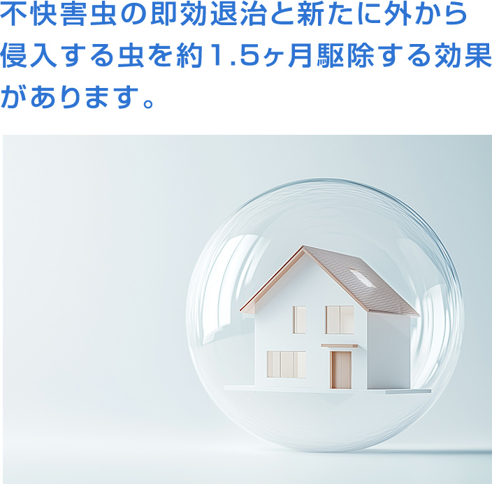 不快害虫の即効退治と新たに外から侵入する虫を約1.5ヶ月駆除する効果があります。