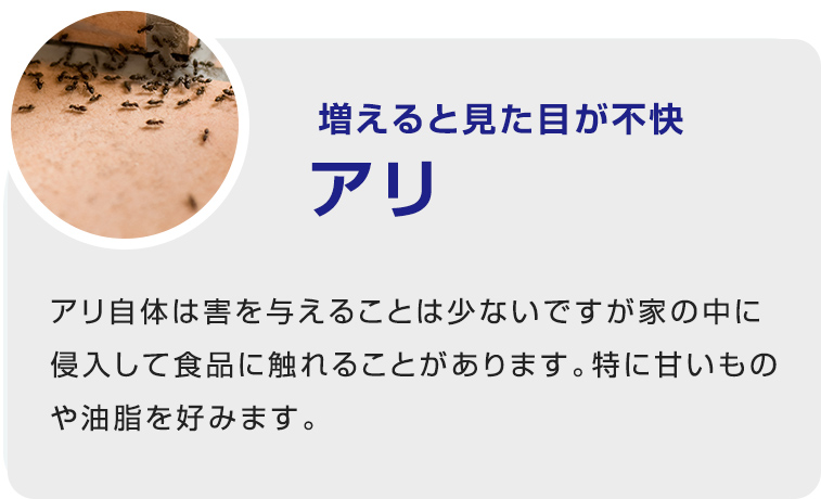 増えると見た目が不快
アリ
アリ自体は害を与えることは少ないですが家の中に侵入して食品に触れることがあります。特に甘いものや油脂を好みます。