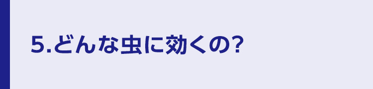 5.どんな虫に効くの？