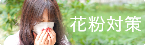 日本製 爽快フィット 不織布 マスク 30枚入 個装パッケージ入 レック公式オンラインショップ 通販
