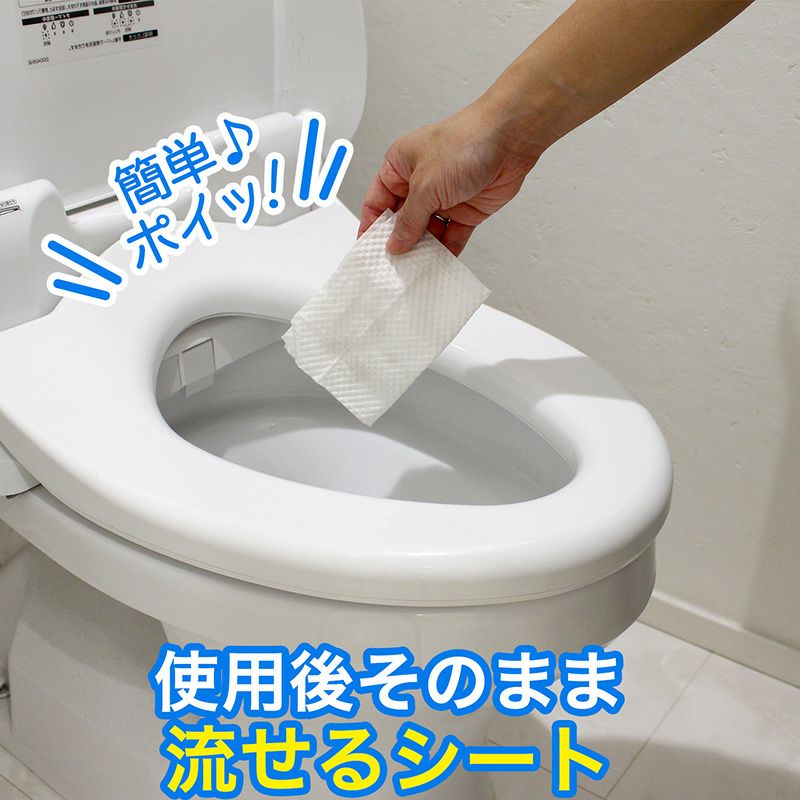 激落ち 流せる除菌トイレクリーナー 24枚入 レック公式オンラインショップ 通販