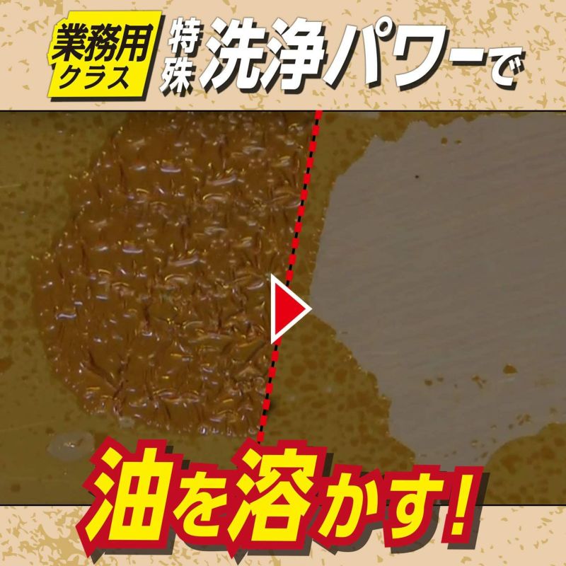 茂木和哉 キッチンのなまはげ 320mL 大掃除 | レック公式オンライン