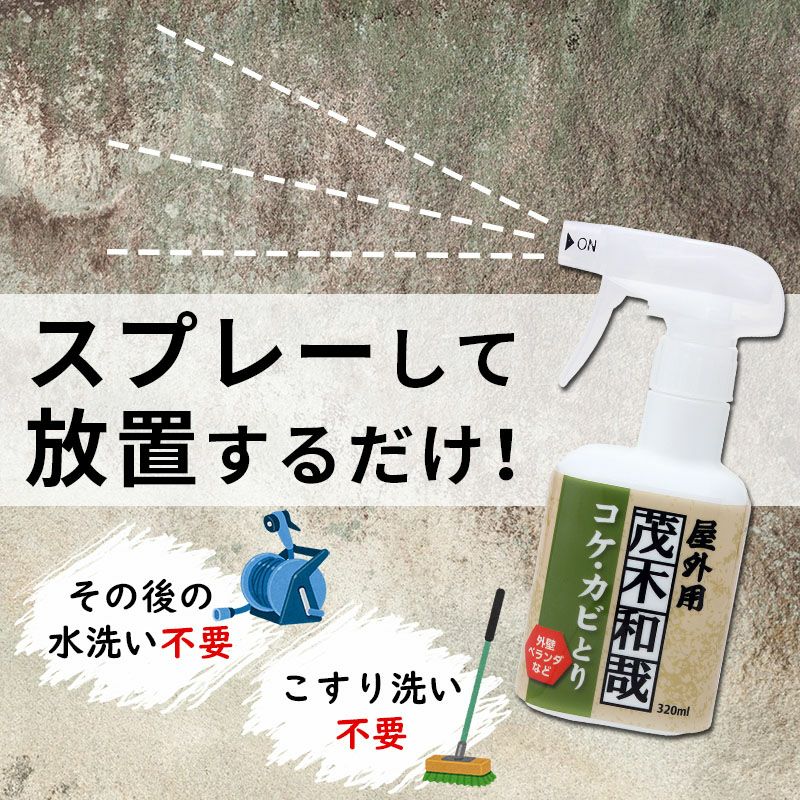 茂木和哉 コケ カビ取りスプレー 3ml レック公式オンラインショップ 通販