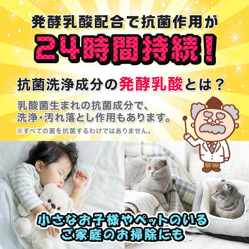 45円 2021人気の 激落ちくん GNちょい掃除シート ノンアルコール除菌 45円 2021人気の 激落ちくん GNちょい掃除シート ノンアルコール除菌