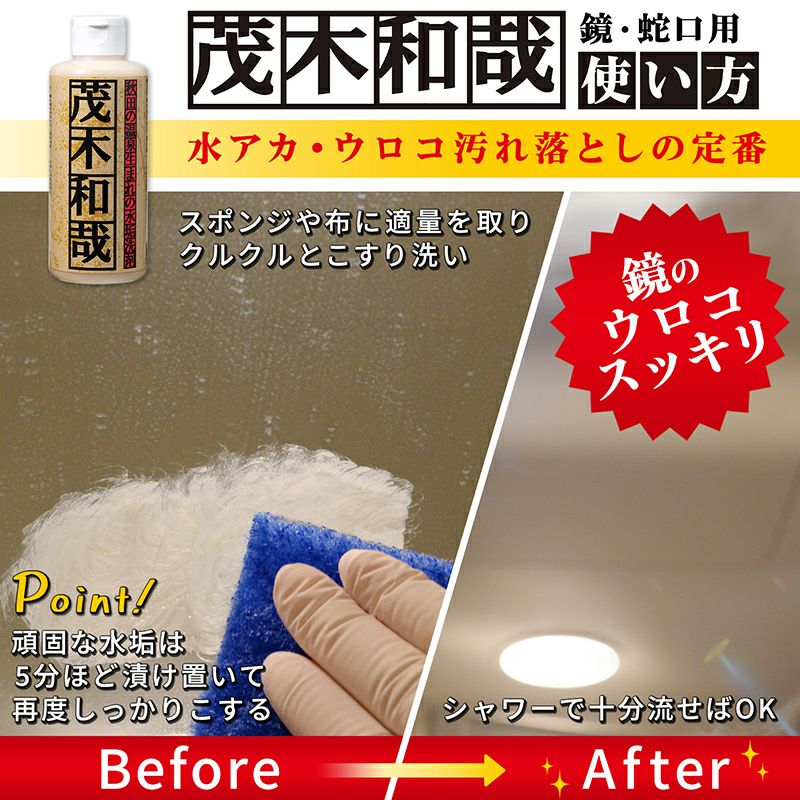 茂木和哉 80mL お試しサイズ 大掃除