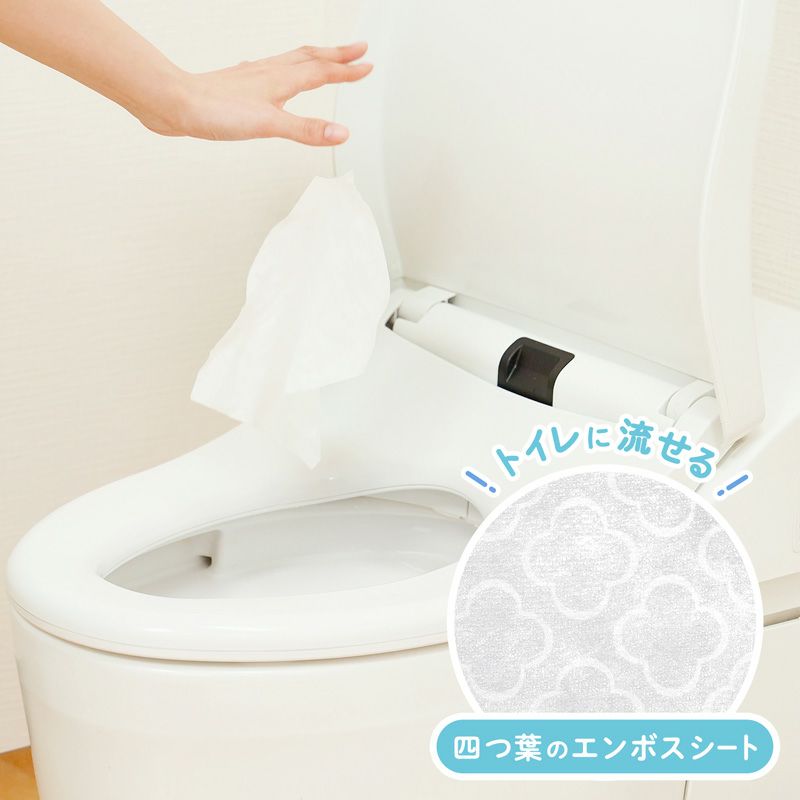 ペーパーテック】トイレに流せる 大人用おしりふき おしりふき 排泄関連用品 介護 ながく 介助 看護