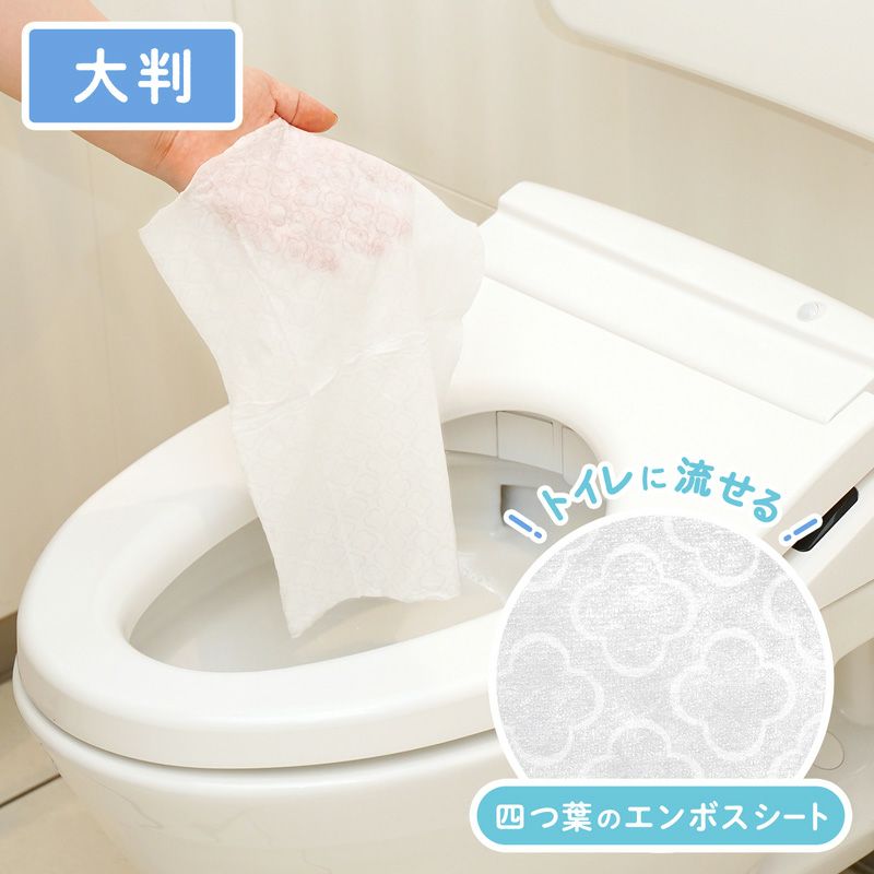 大人・介護用こころ想い流せるおしりふき大判サイズ