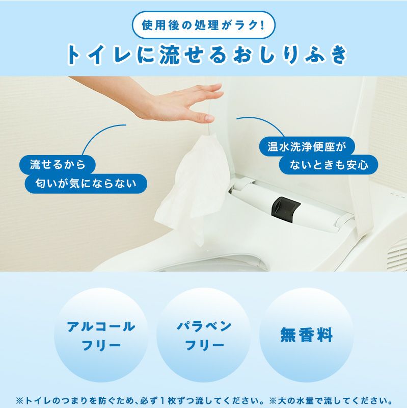 ポケットエチケット 流せるおしりふき10枚_5