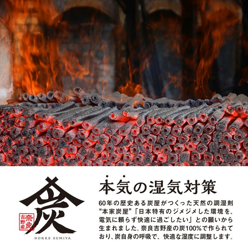 調湿・消臭木炭 本家炭屋 スクエアタイプS 8個セット