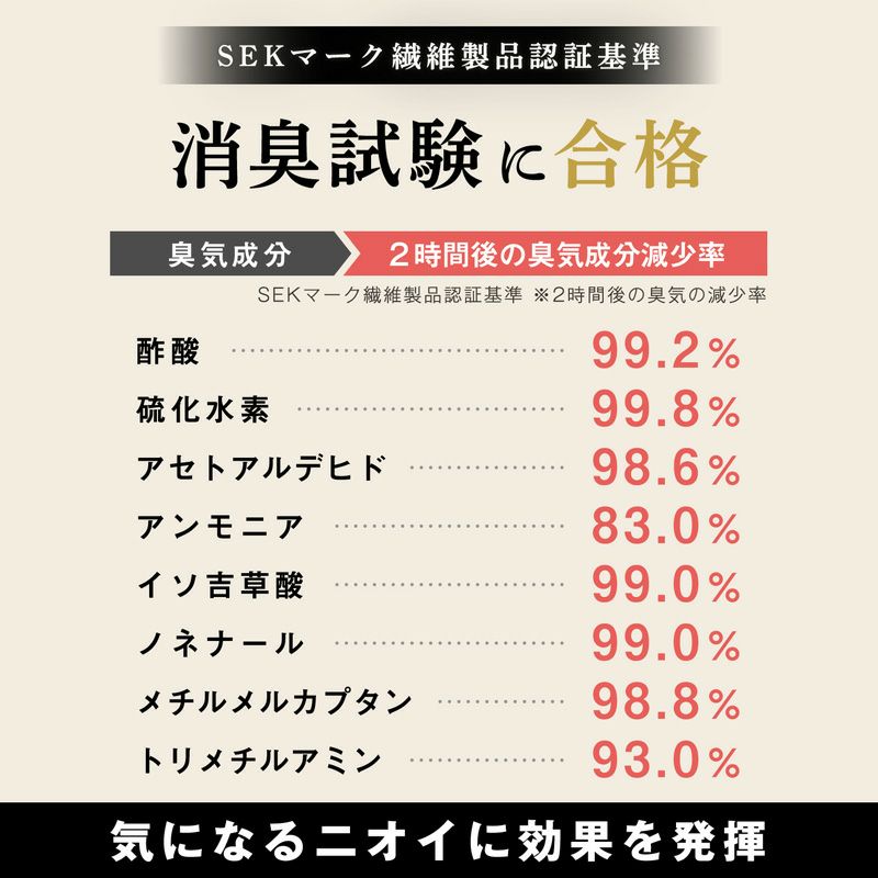 調湿・消臭 木炭 本家炭屋 スリムタイプL 2個セット